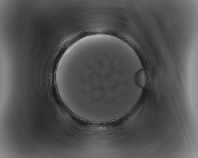 X0000085220640200703301704