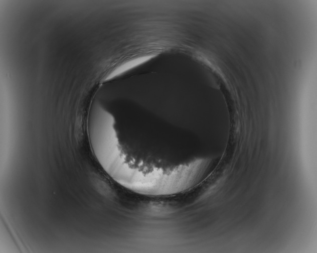 X0000085220641200703301704