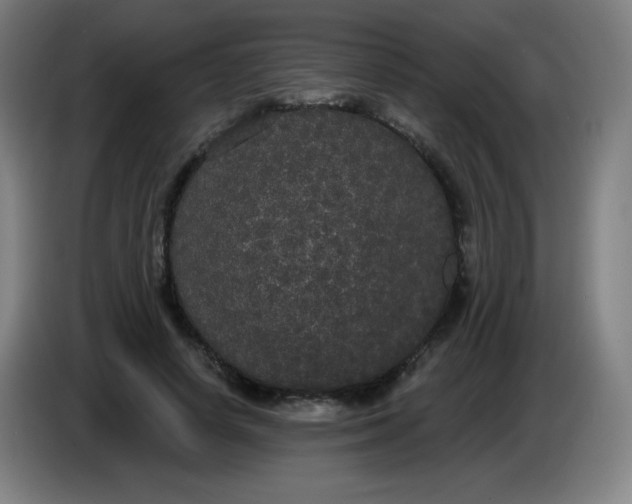 X0000085220642200703301704