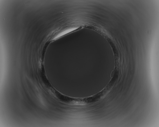 X0000085220644200703301704