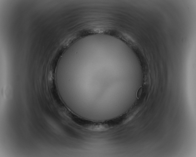 X0000085220646200703301704