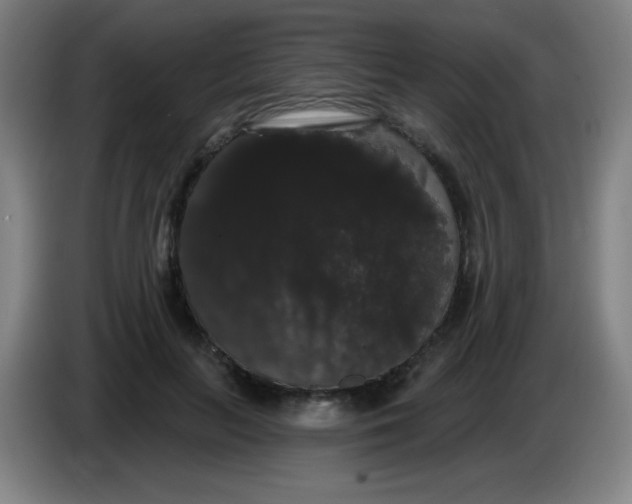 X0000085220647200703301704
