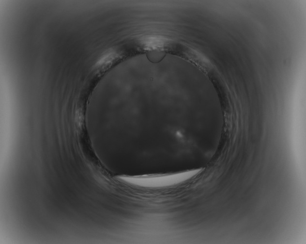 X0000085220648200703301704