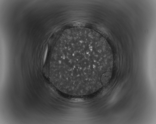 X0000085220649200703301704
