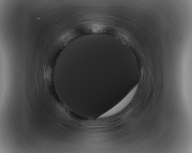 X0000085220650200703301704