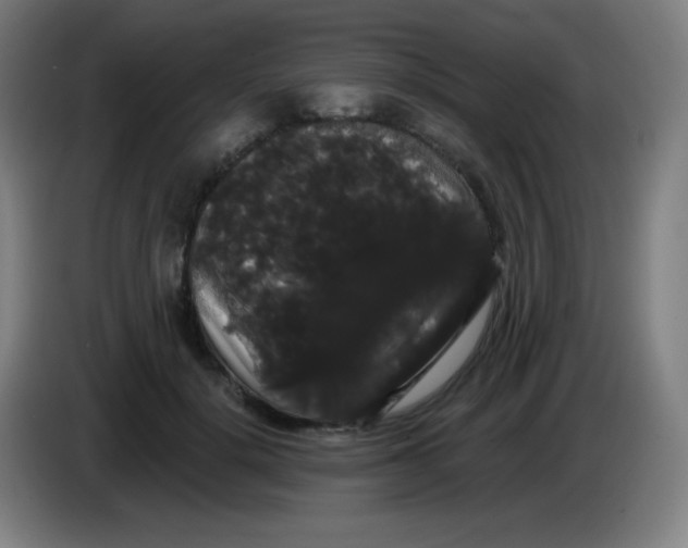 X0000085220652200703301704