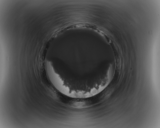 X0000085220653200703301704