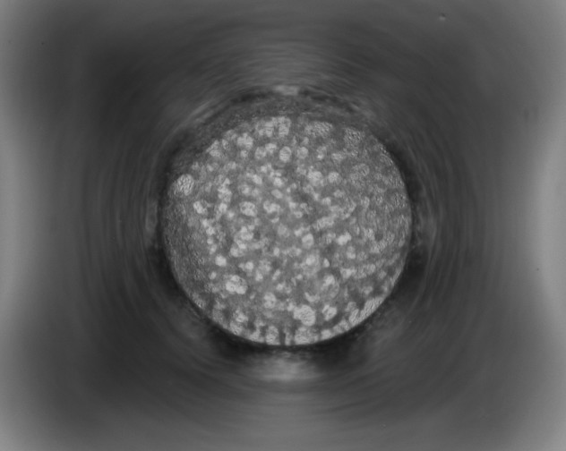 X0000085220656200703301704