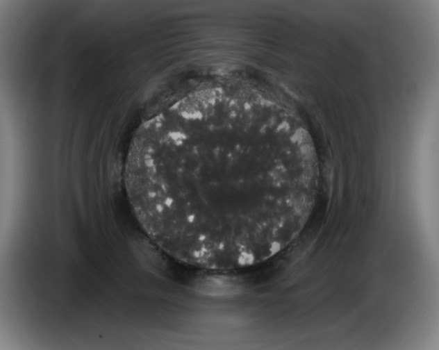 X0000085220657200703301704