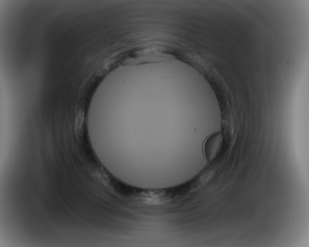 X0000085220660200703301704