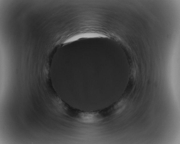 X0000085220661200703301704