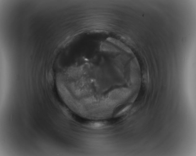 X0000085220662200703301704
