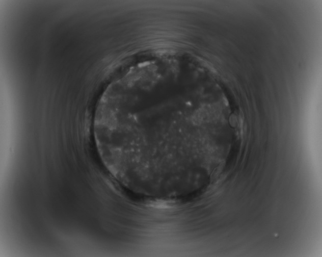 X0000085220664200703301704