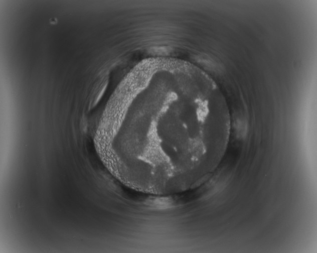 X0000085220665200703301704