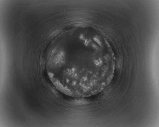 X0000085220666200703301704