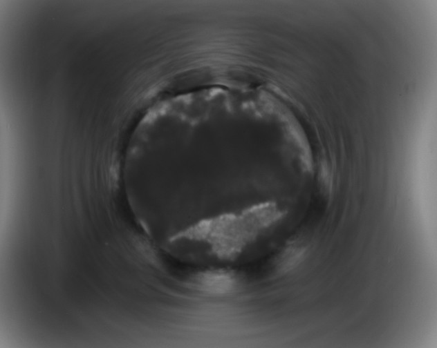 X0000085220668200703301704
