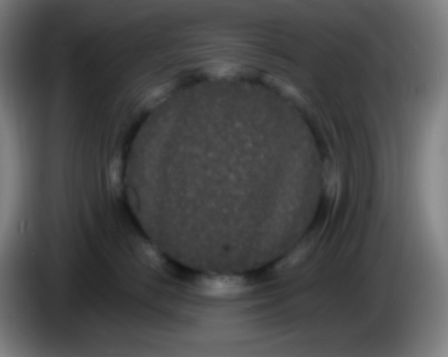 X0000085220670200703301704