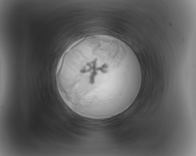 X0000085220672200703301704