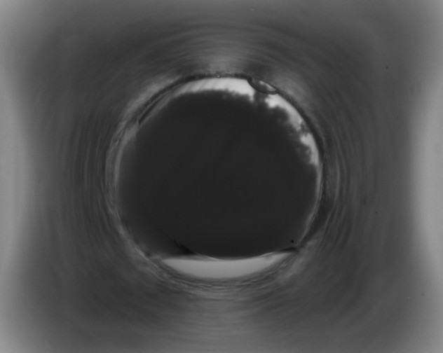 X0000085220673200703301704