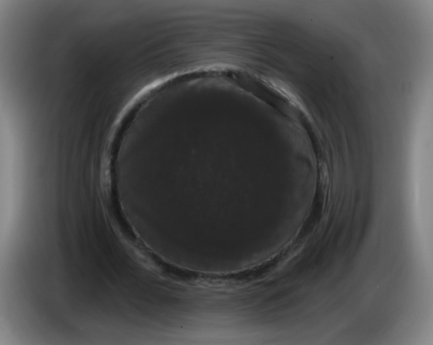 X0000085220676200703301704