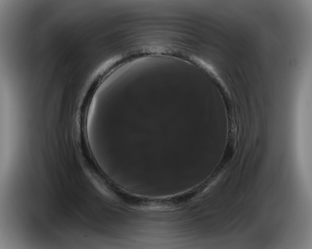 X0000085220678200703301704