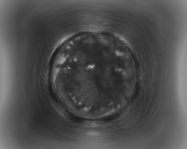 X0000085220679200703301704