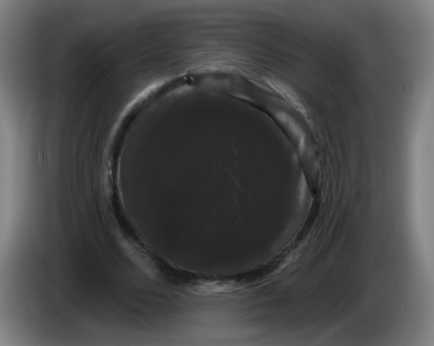 X0000085220680200703301704
