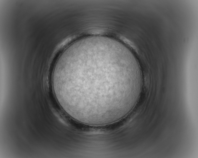 X0000085220682200703301704