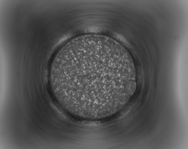 X0000085220683200703301704