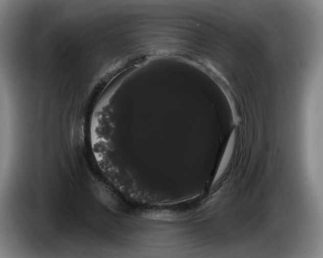 X0000085220685200703301704