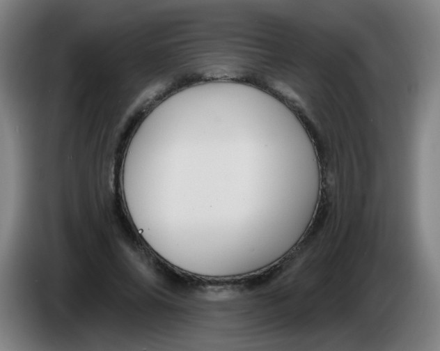 X0000085220686200703301704