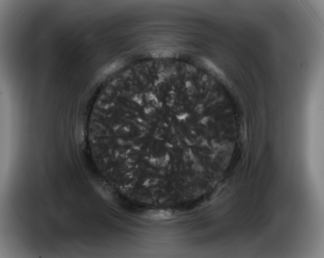 X0000085220687200703301704