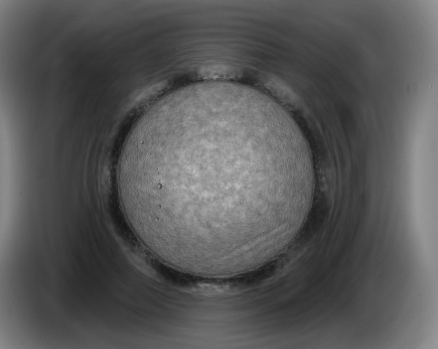 X0000085220690200703301704