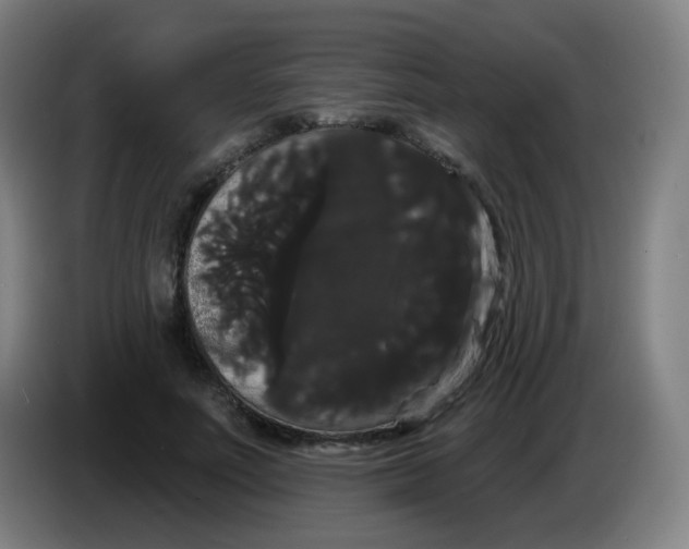 X0000085220691200703301704