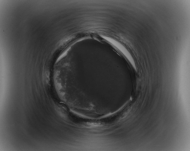 X0000085220693200703301704