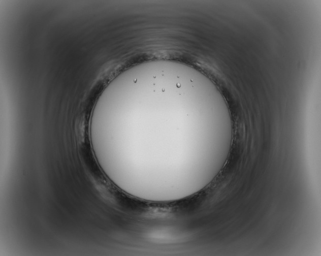 X0000085220694200703301703