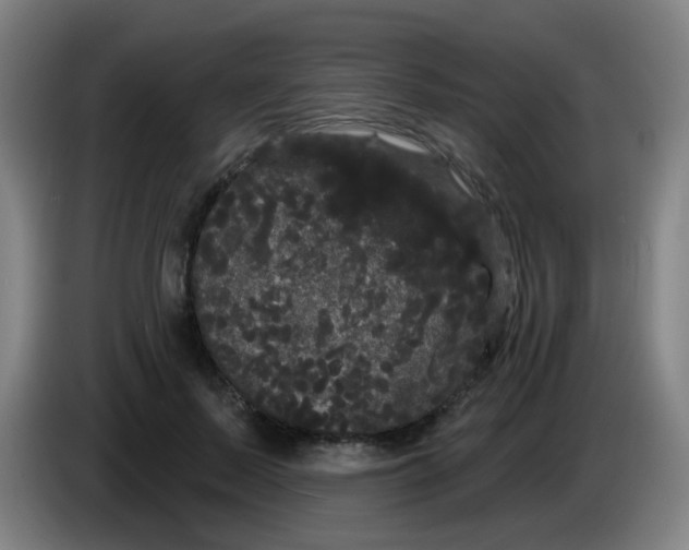 X0000085220695200703301703