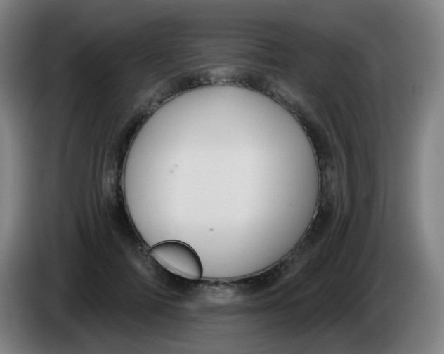 X0000085220698200703301703