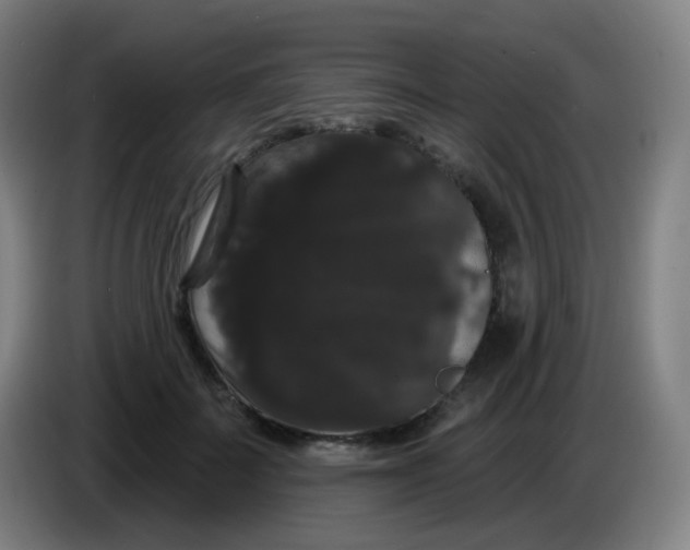 X0000085220699200703301703