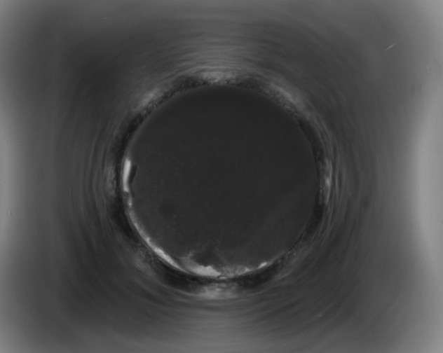 X0000085220700200703301703