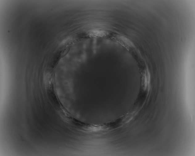 X0000085220701200703301703