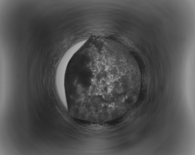 X0000085220703200703301703