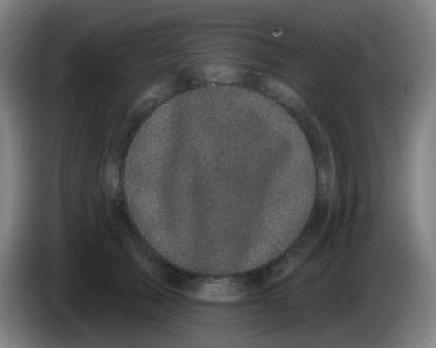 X0000085220705200703301703