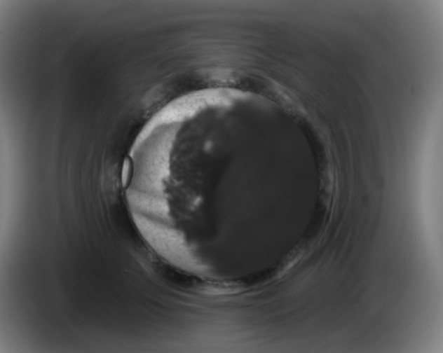 X0000085220707200703301703