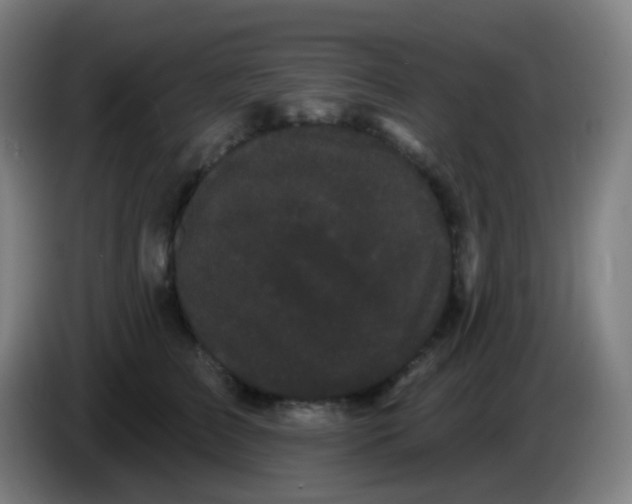 X0000085220709200703301703