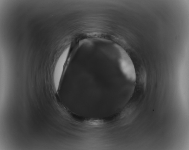 X0000085220711200703301703
