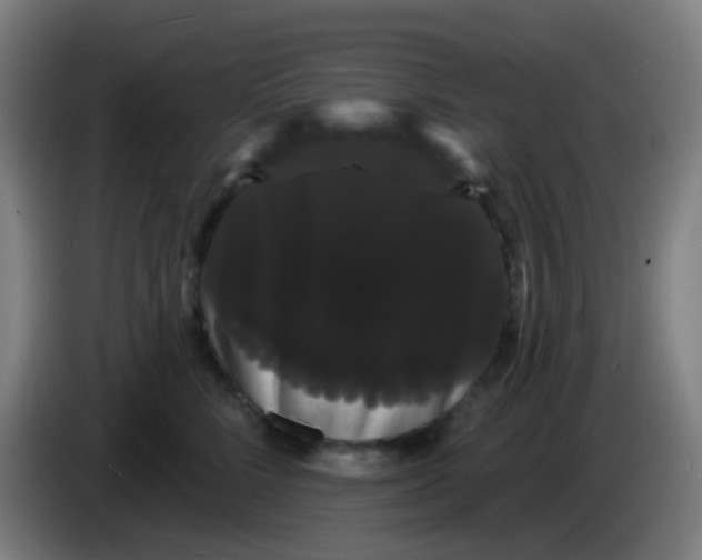 X0000085220712200703301703