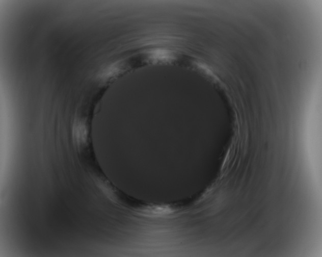 X0000085220715200703301703