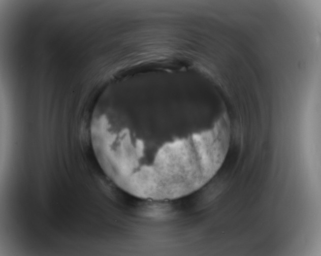 X0000085220719200703301703