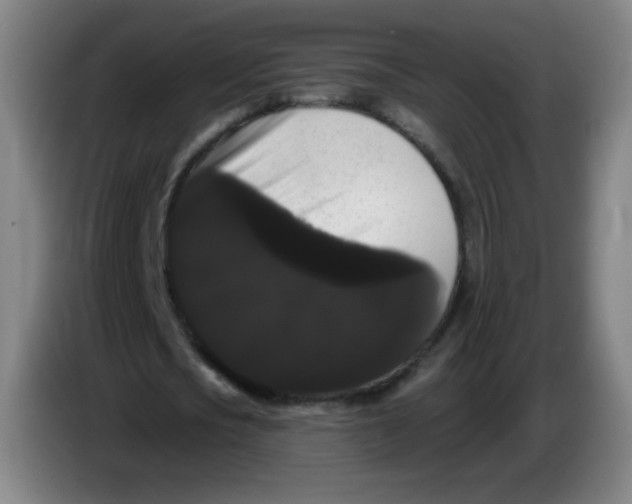 X0000085220721200703301702